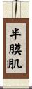 半膜肌 Scroll