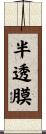 半透膜 Scroll