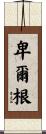 Bergen Scroll