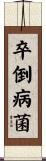 卒倒病菌 Scroll