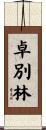 Chaplin Scroll