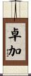 卓加 Scroll