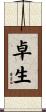 卓生 Scroll