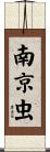 南京虫 Scroll