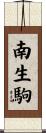南生駒 Scroll
