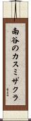 南谷のカスミザクラ Scroll