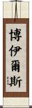 Boyles Scroll