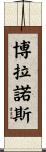 Bolanos Scroll