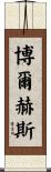 Borges Scroll