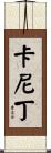 卡尼丁 Scroll