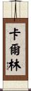 Karlyn Scroll
