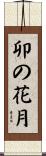 卯の花月 Scroll