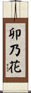 卯乃花 Scroll