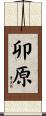 卯原 Scroll