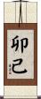 卯己 Scroll