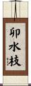 卯水枝 Scroll