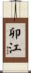 卯江 Scroll