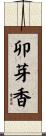 卯芽香 Scroll