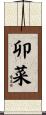 卯菜 Scroll