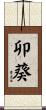 卯葵 Scroll