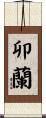 卯蘭 Scroll
