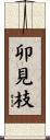 卯見枝 Scroll