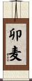 卯麦 Scroll