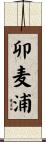 卯麦浦 Scroll