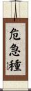 危急種 Scroll