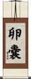 卵嚢 Scroll