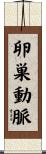卵巣動脈 Scroll