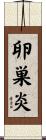 卵巣炎 Scroll