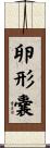 卵形嚢 Scroll