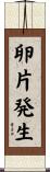 卵片発生 Scroll