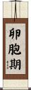 卵胞期 Scroll