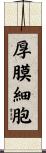 厚膜細胞 Scroll