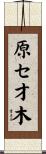 原セ才木 Scroll
