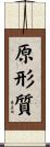原形質 Scroll
