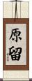 原留 Scroll