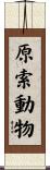 原索動物 Scroll