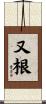 又根 Scroll