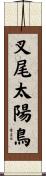 叉尾太陽鳥 Scroll