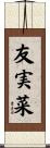 友実菜 Scroll