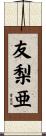 友梨亜 Scroll
