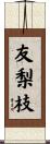 友梨枝 Scroll