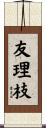 友理枝 Scroll