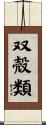 双殻類 Scroll