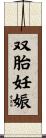 双胎妊娠 Scroll