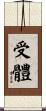 受體 Scroll