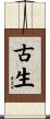 古生 Scroll